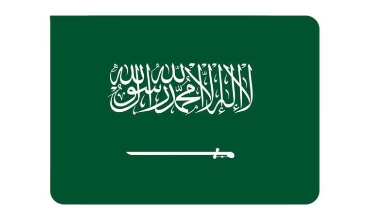 السعودية تدعو إلى قمة عربية إسلامية لبحث استمرار عدوان الاحتلال الإسرائيلي في ال11 نوفمبر المقبل