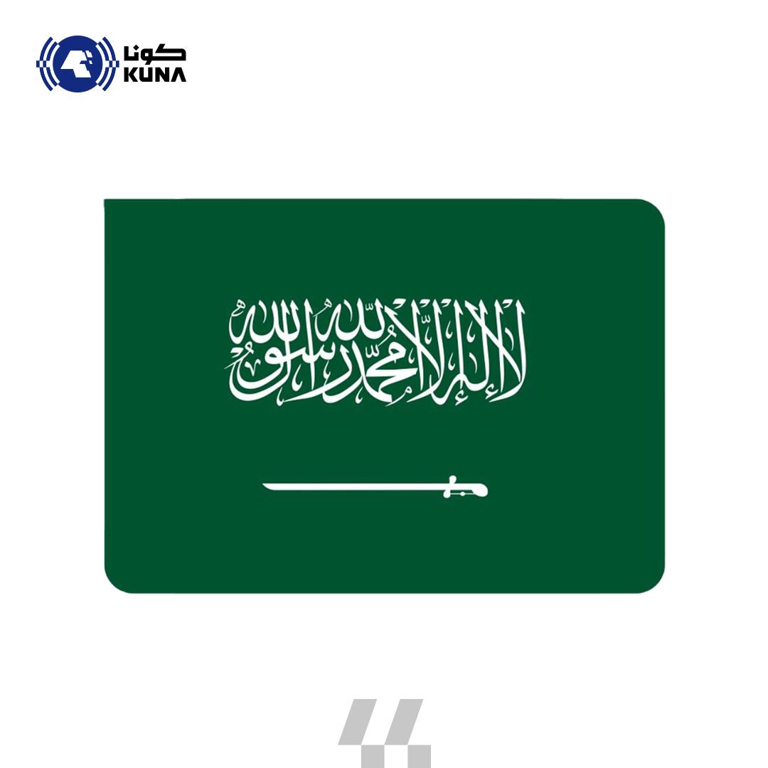 السعودية تدعو إلى قمة عربية إسلامية لبحث استمرار عدوان الاحتلال الإسرائيلي في ال11 نوفمبر المقبل