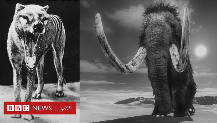 هل يمكن إعادة الحيوانات المنقرضة للحياة؟