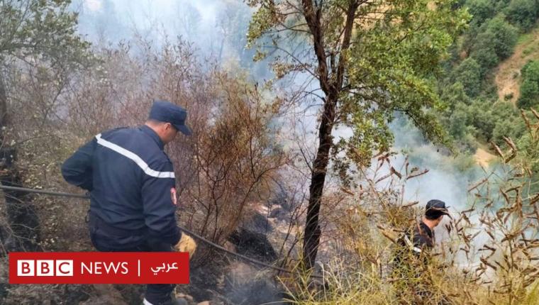 حرائق الغابات في الجزائر: مقتل 38 شخصا وإصابة المئات