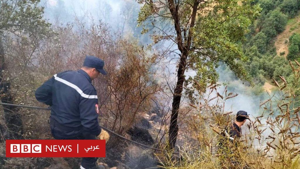حرائق الغابات في الجزائر: مقتل 38 شخصا وإصابة المئات