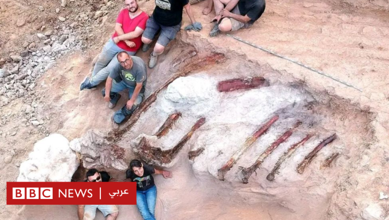 العثور على هيكل عظمي لديناصور عملاق في حديقة منزل في البرتغال