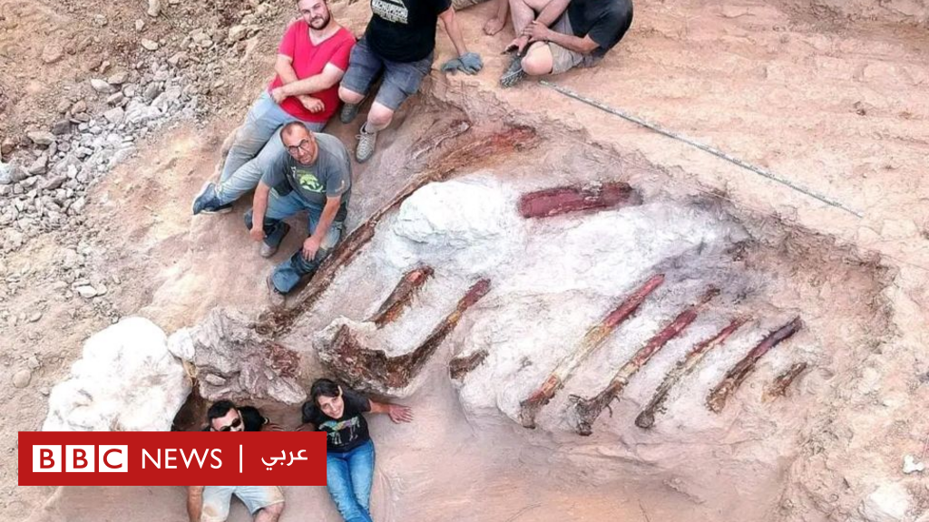 العثور على هيكل عظمي لديناصور عملاق في حديقة منزل في البرتغال