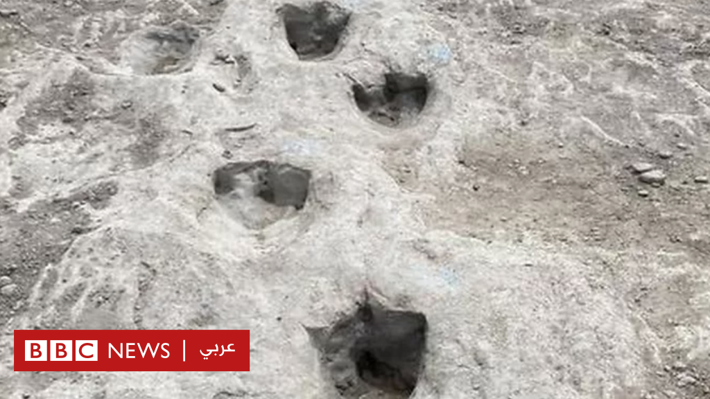الجفاف يكشف عن آثار أقدام ديناصور عمرها 113 مليون عام