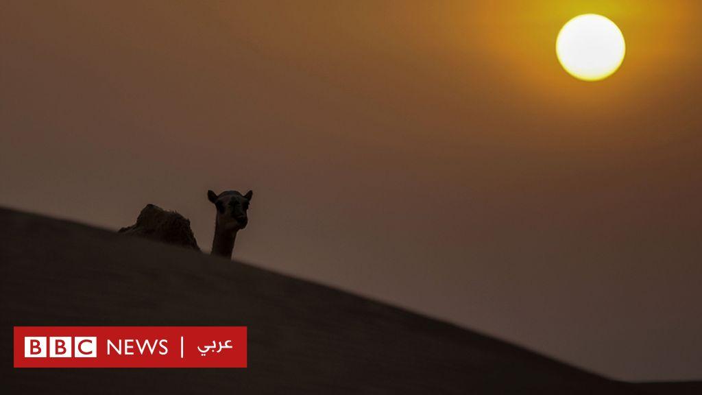 الخليج: ما هي الصفقات السرية التي كانت وراء ترك بريطانيا المنطقة؟