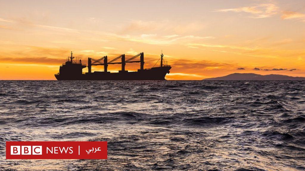 روسيا وأوكرانيا: إلى أين تتجه سفن الشحن الأوكرانية بعد اتفاقية نقل الحبوب؟