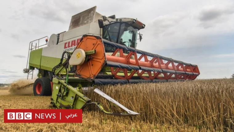 مؤشر الفاو يسجل انخفاض أسعار الغذاء عالميا للشهر الخامس على التوالي