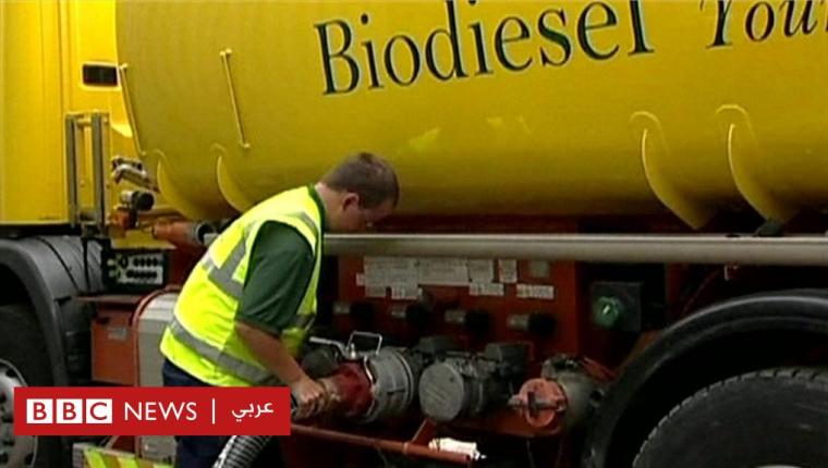 الوقود الحيوي: هل يحل أزمة الطاقة أم يفاقم أزمة الغذاء؟