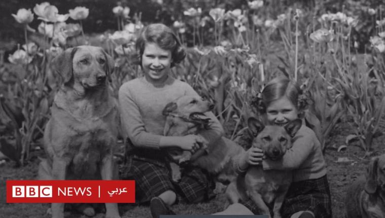 الملكة إليزابيث الثانية: الكلاب عشق الملكة منذ الطفولة!