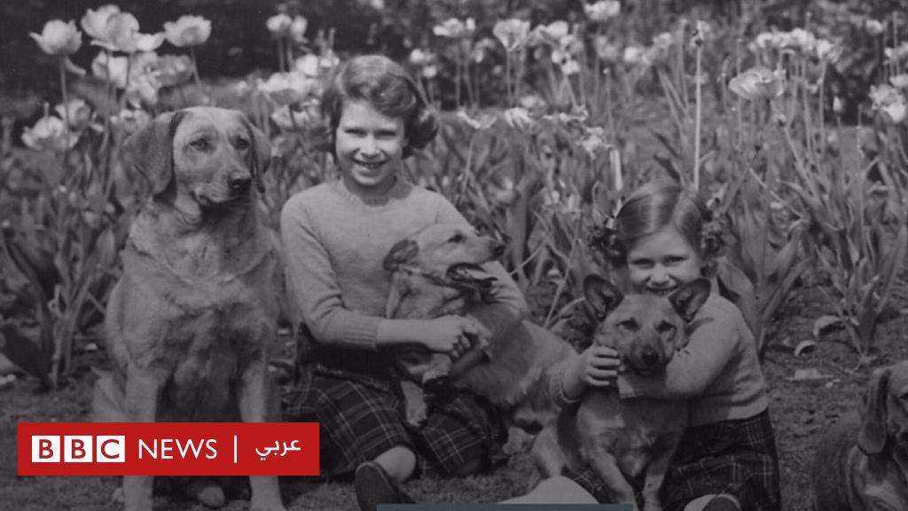 الملكة إليزابيث الثانية: الكلاب عشق الملكة منذ الطفولة!