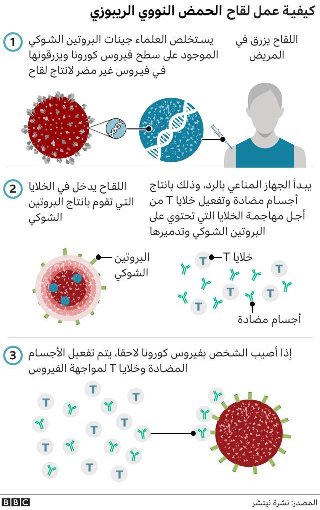 كيفية عمل لقاح الحمض النووي الريبوزي