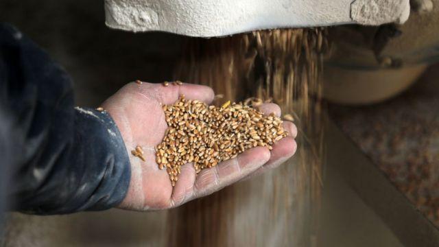 أزمة الغذاء