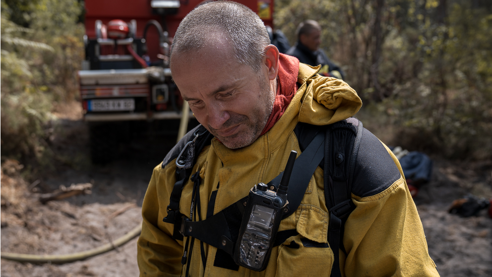 هيرفي ترينتين