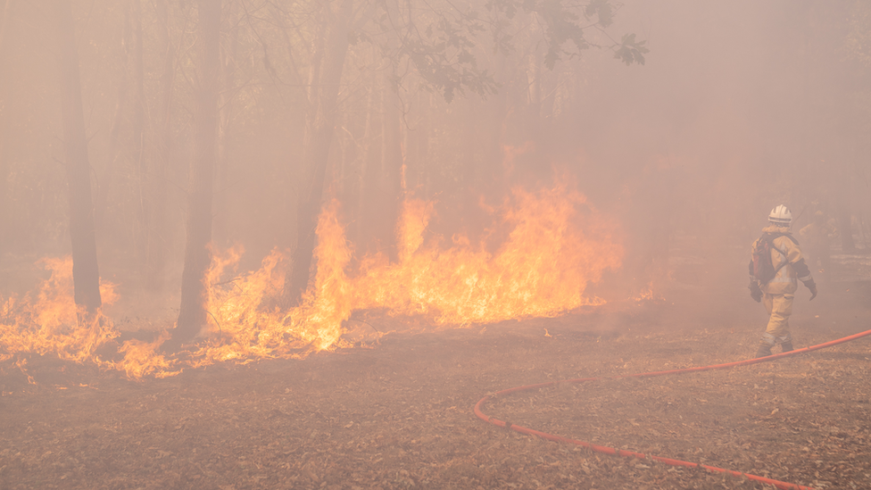 حريق تكتيكي في قطعة أرض بجوار منزل عائلة