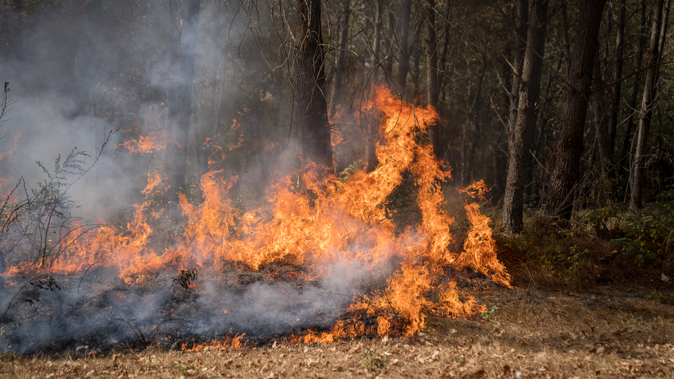 النيران تشتعل على طول المحيط المحدد لنيران تكتيكية بالقرب من هوستون