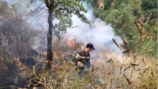 حرائق في الجزائر