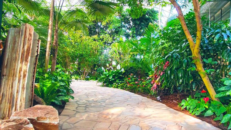 حديقة قصر بيان العامر