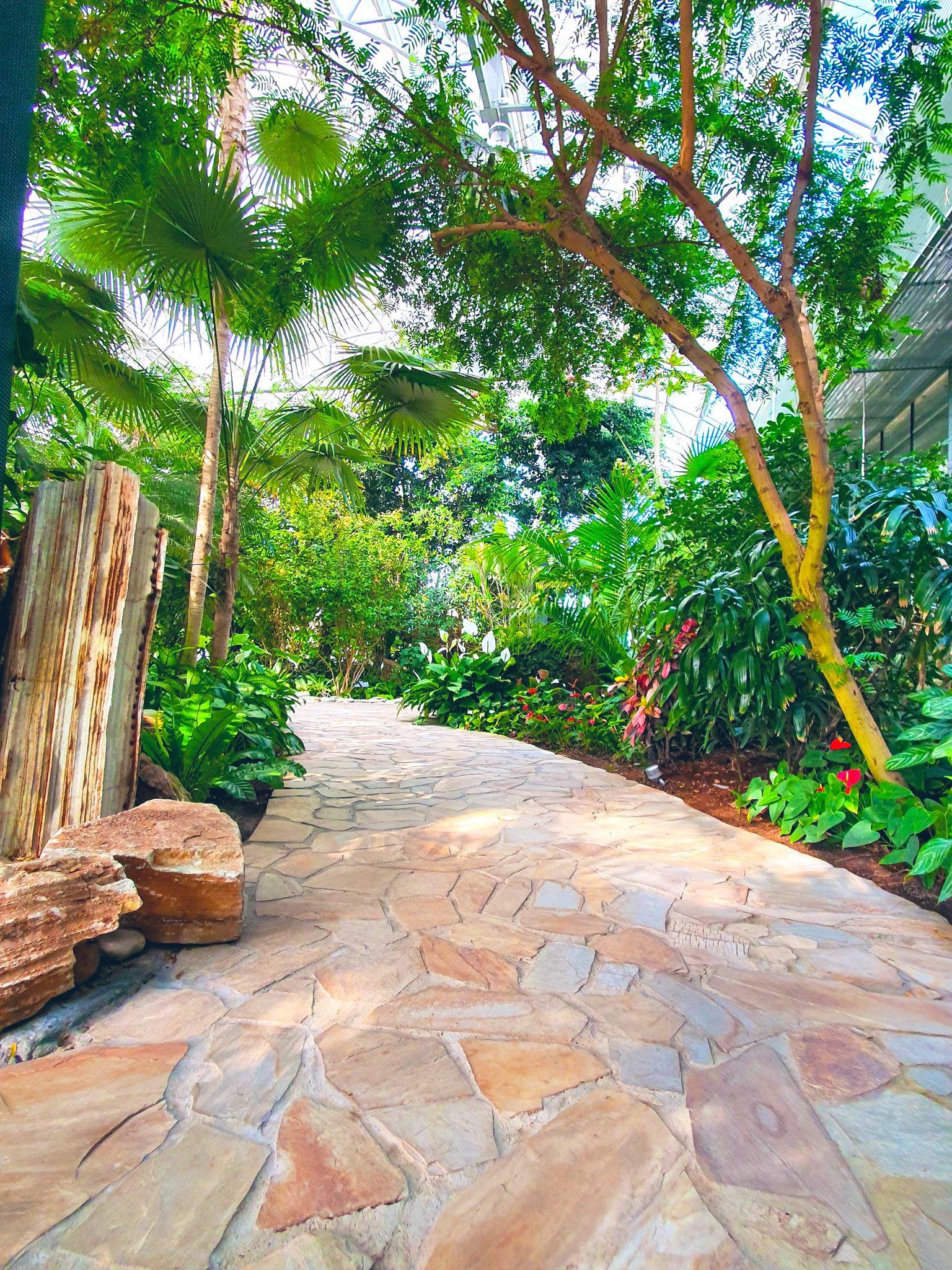 حديقة قصر بيان العامر